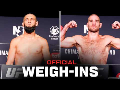 UFC video artwork
