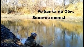 Где в новосибирске хорошо клюет рыба
