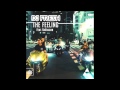 DJ Fresh Feat. RaVaughn - The Feeling (Radio ...
