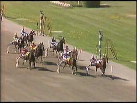 Fyraåringseliten 1988 - Moment of Magic / Olle Goop