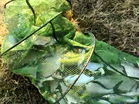 Fishing report "superb bream caught on rod" at lake sarulesti, Judeţul Călăraşi, Romania