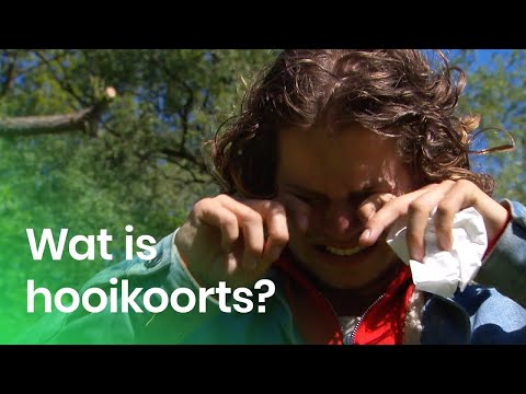 Wat is hooikoorts?