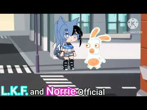 Watch Out! Little Rabbid