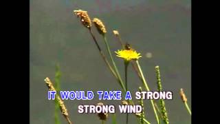 Strong Strong Wind - Air Supply (Karaoke Cover)