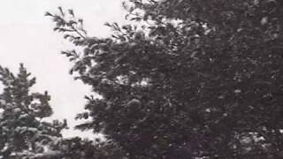 Tarentel - Warm Glass