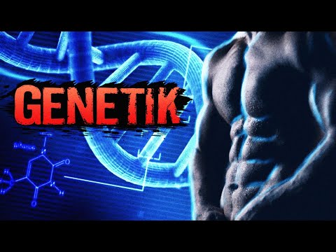Is muscle building only possible with good genetics?
