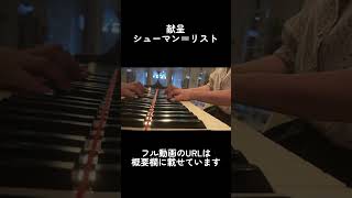Download lagu シューマン＝リスト：献呈　#ピアノ #shorts  #short  #献呈  #リスト mp3