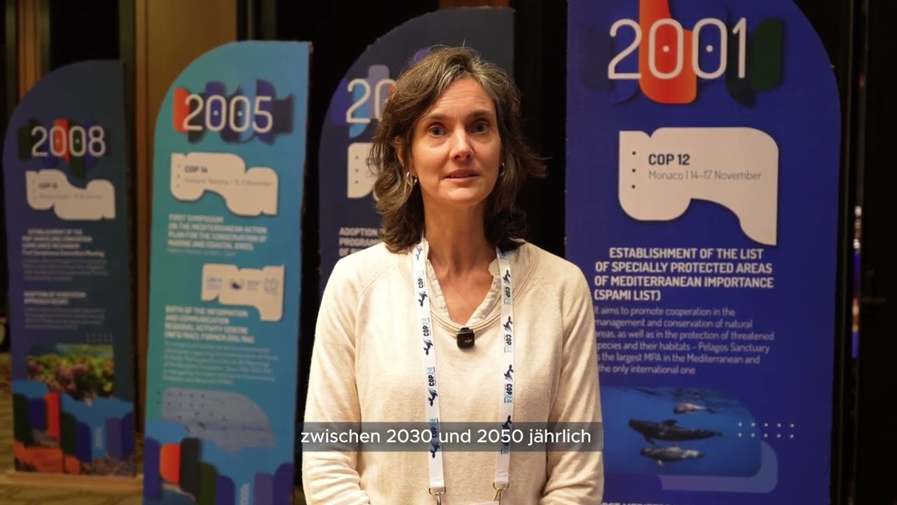 Das verbleibende CO₂-Budget der Mittelmeerregion: Ein Weckruf für die Staaten auf der COP24