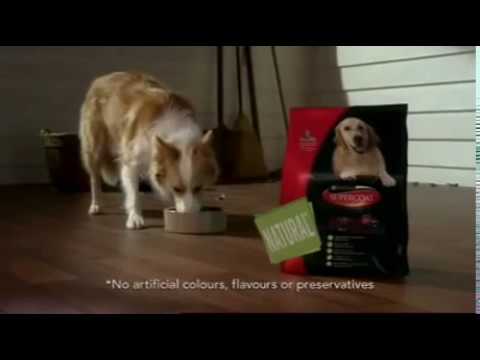 Dog Food Commercial for Supercoat with Dr Harry