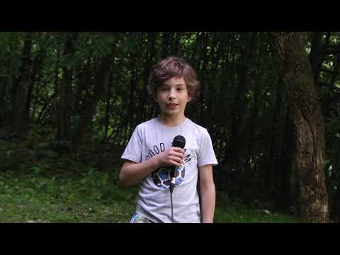 MIHNEA DAN - În cât timp se descompun gunoaiele lăsate în natură de turiști