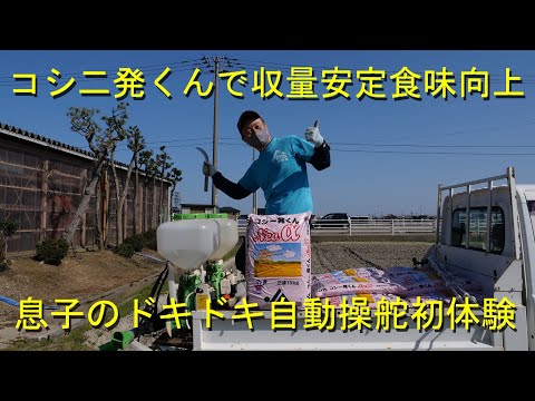 コシ? - 意味
