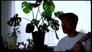 E Ho'i I Ka Pili (Keali'i Reichel ukulele cover)