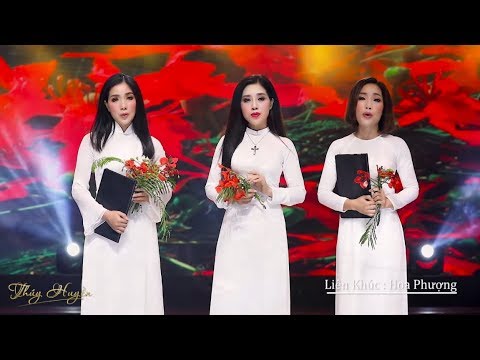 25 Ca Khúc Bolero Hay Nhất của 3 Chị Em Ruột - Nghe thử 1 lần bạn sẽ không hối hận