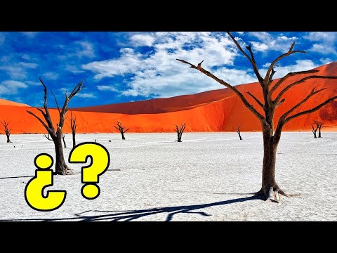 Dieser Ort ist nicht von dieser Welt