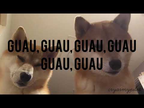 otoniel guajardo — perritos malvados ; (l e t r a).