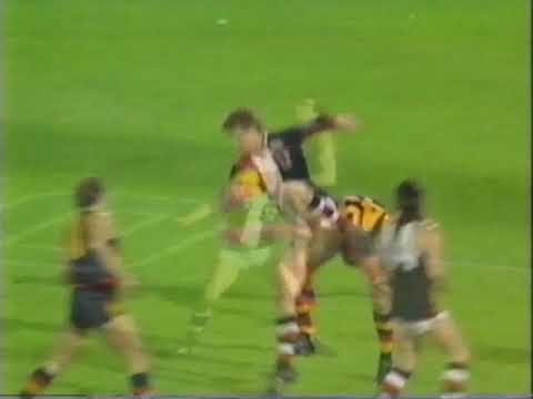1991 AFL Marks of the Year
