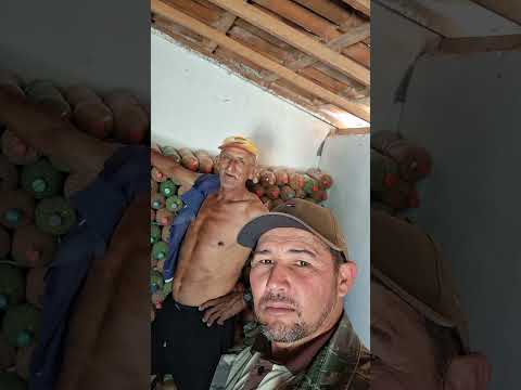 Agricultor do junco do serido PB Zé pagão