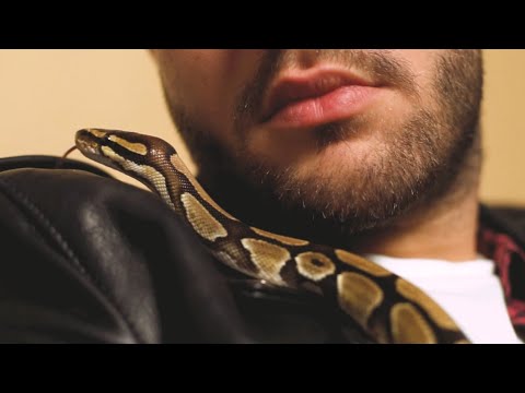 video frame placeholder