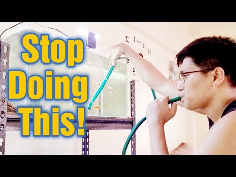 I Made The Best HOMEMADE SIPHON And I Will Show You How You To Use It Properly!