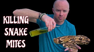 KILLING Ball python Mites - Using a home remedy