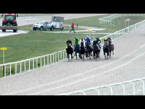 2019.05.05. 03. futam - ARQANA HENDIKEP (IV.o.) (szintetikus pálya)