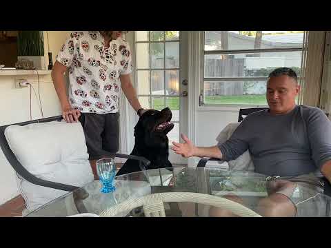 Watch This Before You Get Into A Relationship: Avoid Divorce