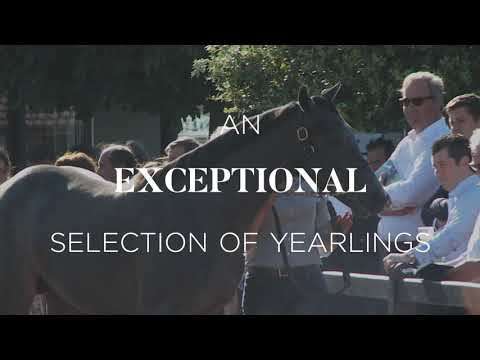 2021 August Yearling Sale