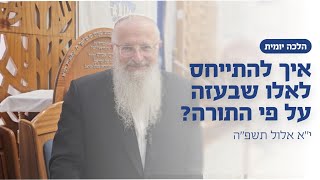 איך להתייחס לאלו שבעזה על פי התורה? | הרב שמואל אליהו | הלכה יומית | י״א אלול תשפ״ה (הרב שמואל אליהו) - התמונה מוצגת ישירות מתוך אתר האינטרנט יוטיוב. זכויות היוצרים בתמונה שייכות ליוצרה. קישור קרדיט למקור התוכן נמצא בתוך דף הסרטון