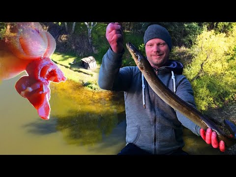 AALNACHT MEINES LEBENS! Über 30 Bisse in 6 Stunden!