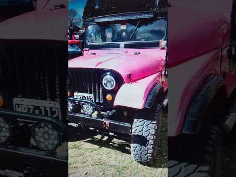 Jeeps en la exposicion de autos antiguos en General Galarza #autos #exposicion #antiguos #jeep