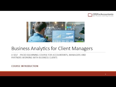 Business Analytics for Managers and Partners – From Accountant to Analyst and Advisor