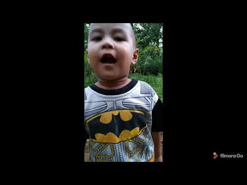 bocil ngapak ngenes gays# kumpulan stori wa# lucu# parah#