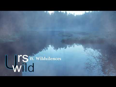 Urs Wild ft.  Wildsilences - Lady Of The Lake (Vocal Version)