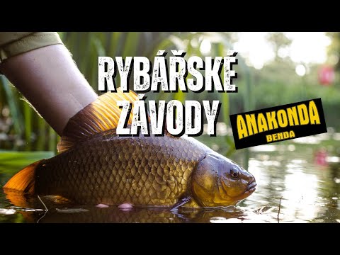 Rybářský den - Restaurace roští