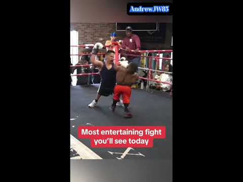 Midget Boxing night. Don't laugh!!