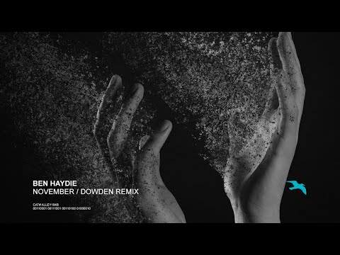 BEN HAYDIE November (Dowden Remix)