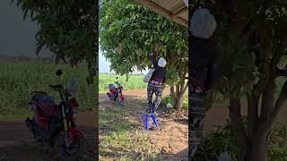 Download lagu Video lucu gokil kocak #funny #humorvibes #comedy #ngakak #memengakakkocak #lucu #memes #humor mp3