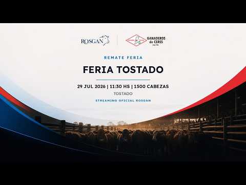 Feria Tostado