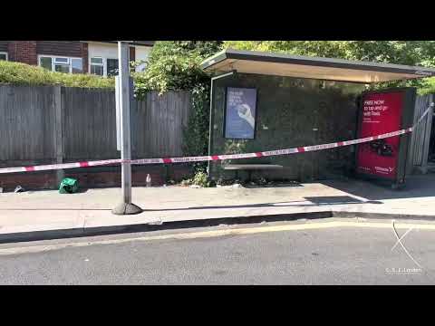 9 Aug 22 Crime Scene. Stabbing Incident - Teenager Critical. Westwood Hill, Sydenham, Lewisham, SE26