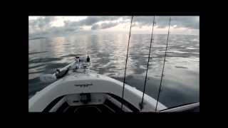 preview picture of video '60HP Yamaha Outboard Review and 485 Streaker Boat!!'