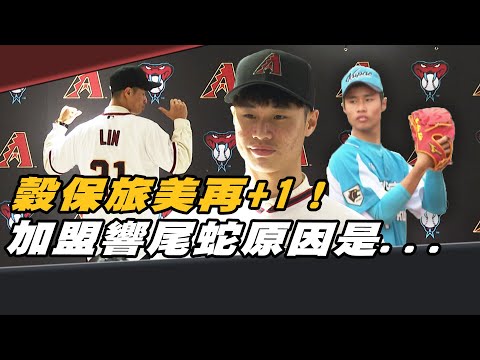 穀保旅美再加一！林昱珉加盟響尾蛇的原因是...【MOMO瘋運動】