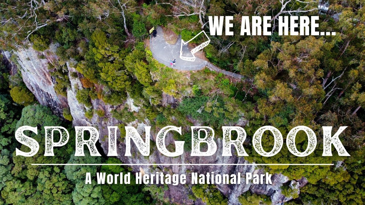 Explore Springbrook National Park through the lens of visitors.