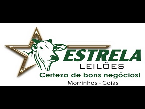 ESTRELA LEILÕES -  18 / 11  / 2025 -  18:45 HS. - Morrinhos  - Goiás