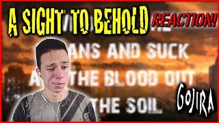 Gojira- A Sight To Behold (Reaction & Review)