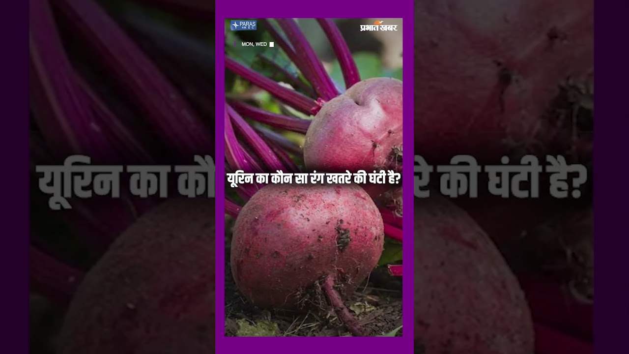 Urine का Color किन स्थितियों में खतरे का संकेत हो सकता है? | Healthy Life Season 1