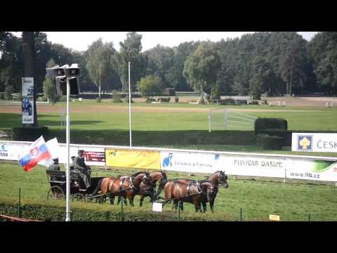 Koně v Akci 2011 Pardubice