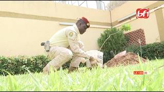 Journée nationale de l'arbre : le Président Ibrahim Traoré plante et sensibilise