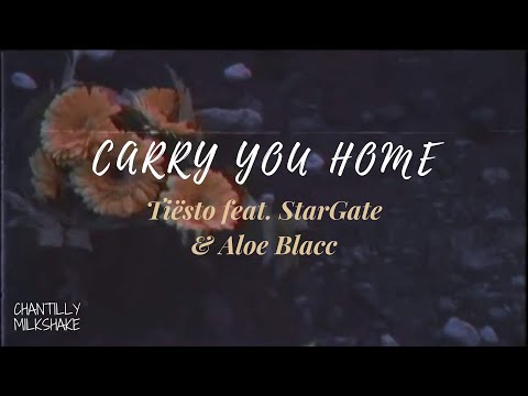 Tiësto -Carry you Home ft. Aloe Blacc & StarGate [Traducida al español]