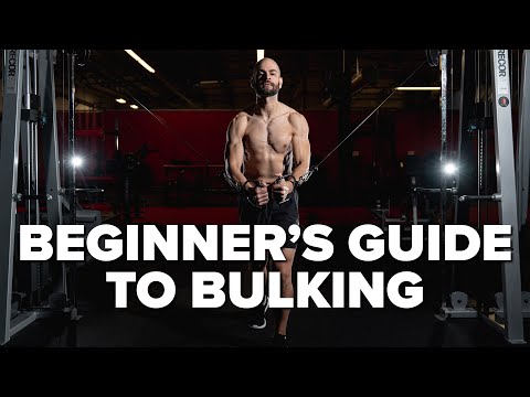 A Beginner's Guide To Bulking