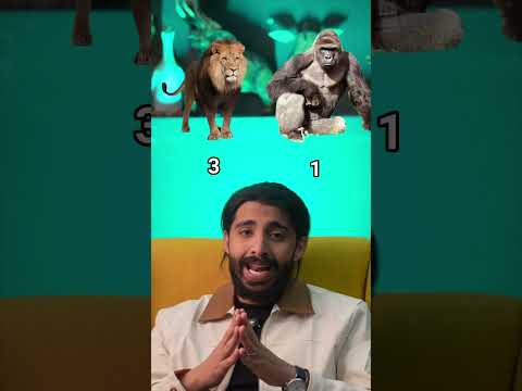 مين الأقوى الأسد ولا الغوريلا